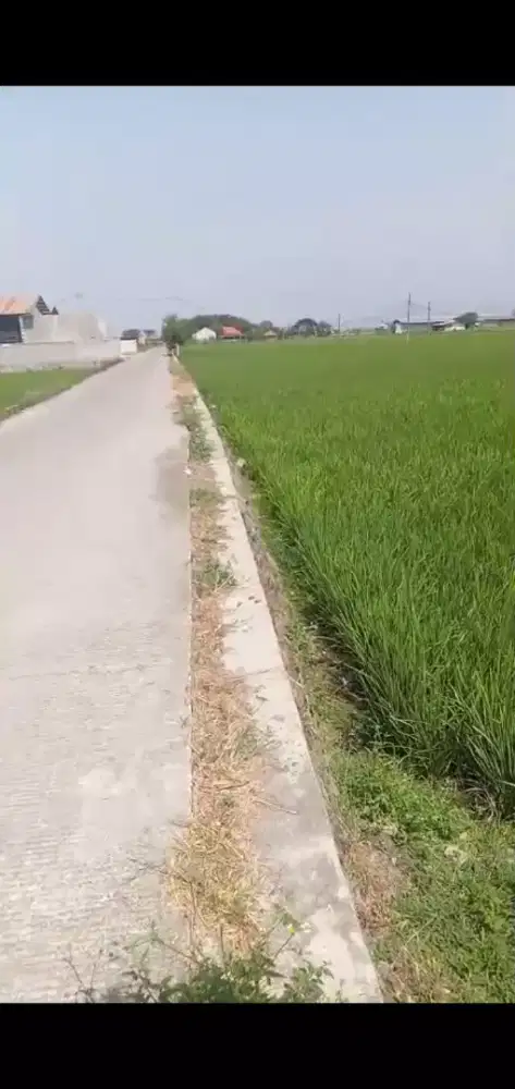Tanah Rancaekek,klaster