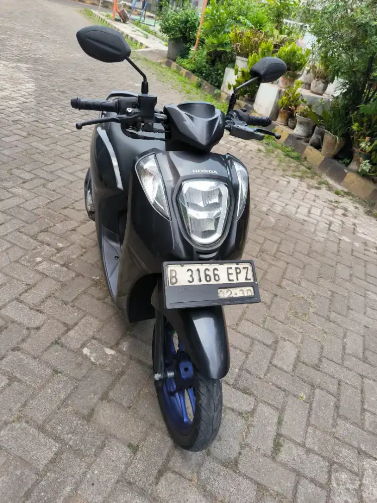 Honda Genio 2020