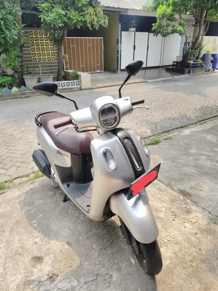 Fazzio Lux 2023