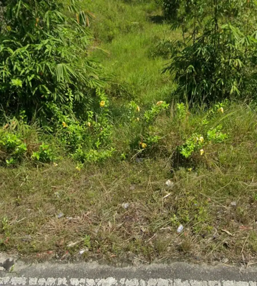 Dijual tanah 4000 m2 jalan lokasi tarakan kalimantan utara