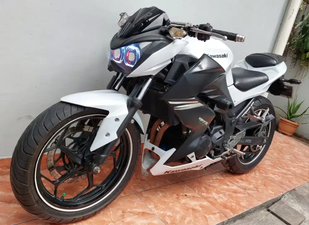 Ninja Z 250 2014 gress