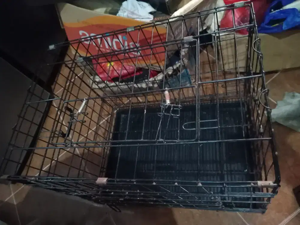 Kandang kucing hitam Ralind
