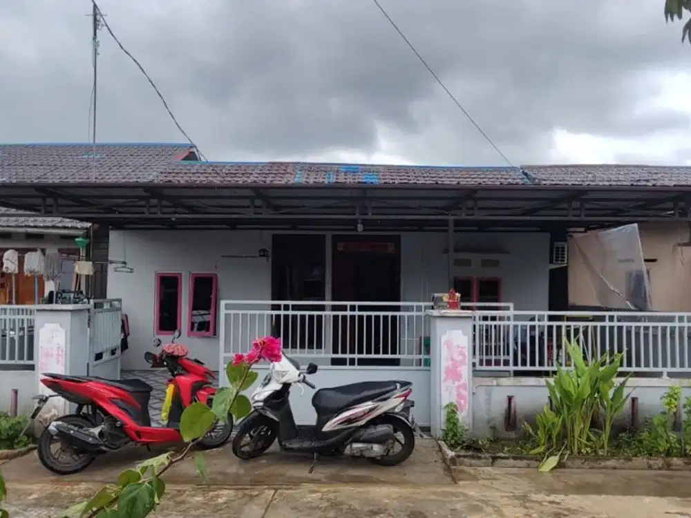 Rumah Di Siantan Slow Living Bebas Gangguan Keramaian