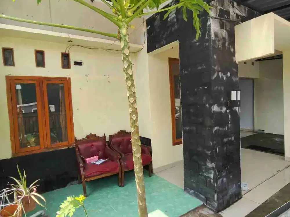 Rumah Ngawi kota