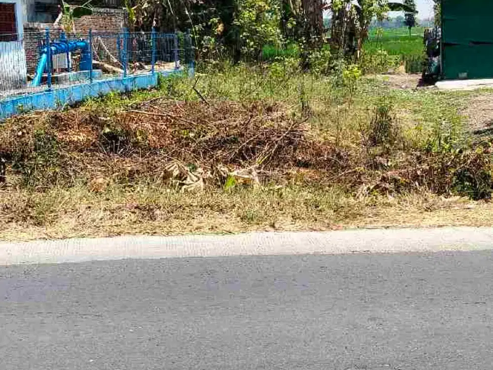 Tanah ngawi