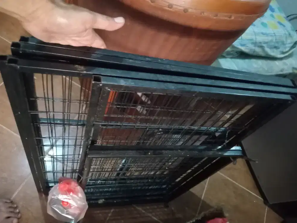 Kandang kucing 2 pintu hitam
