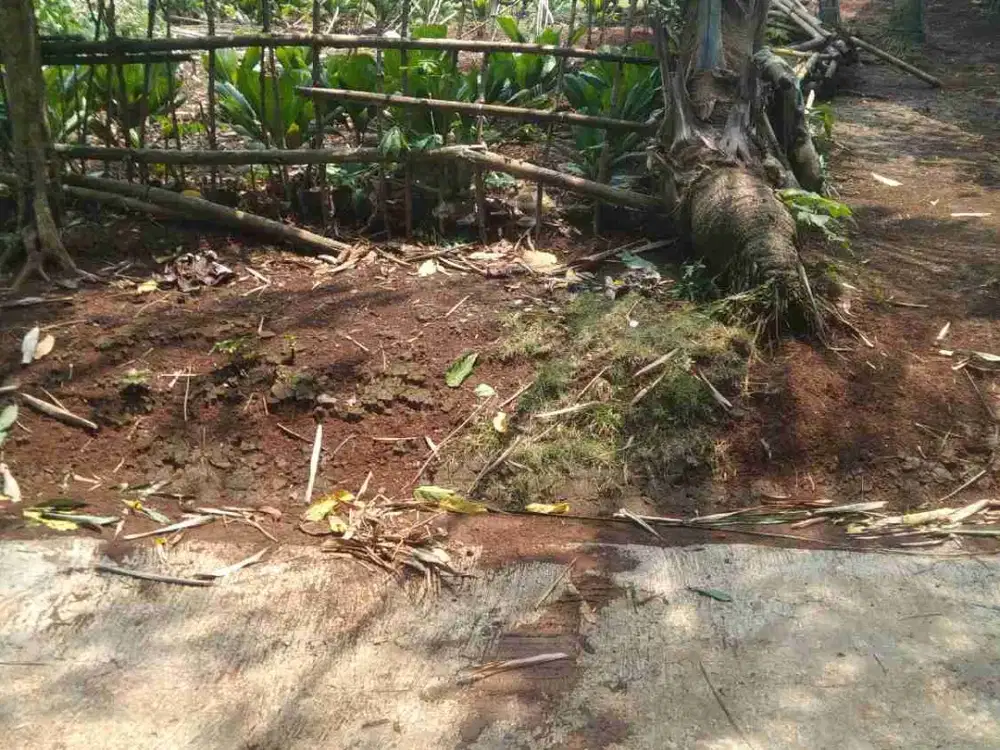 tanah kosong
