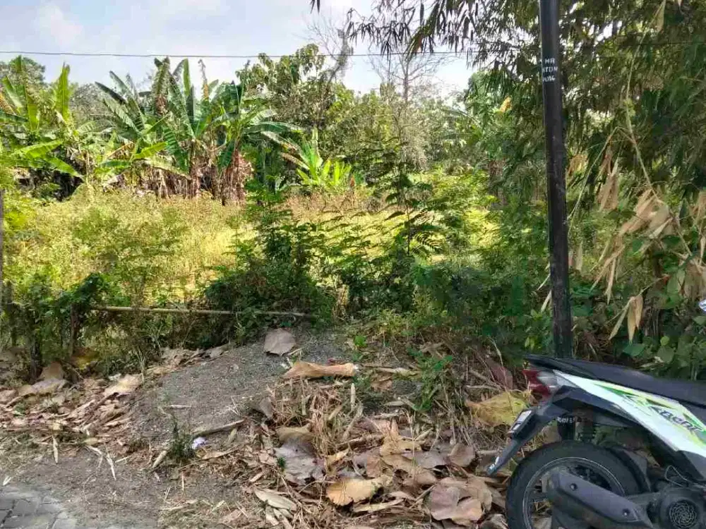 Tanah ngawi