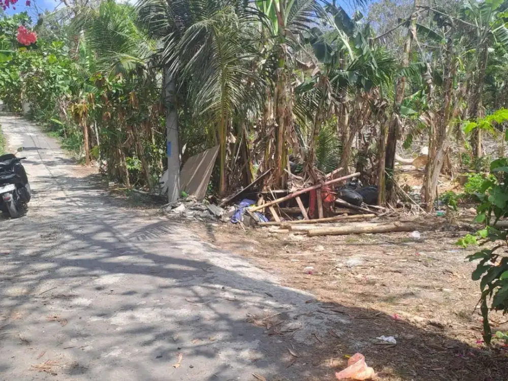 Dijual Segera Tanah Belimbing Sari Pecatu Bali dengan Akses Jalan Lebar