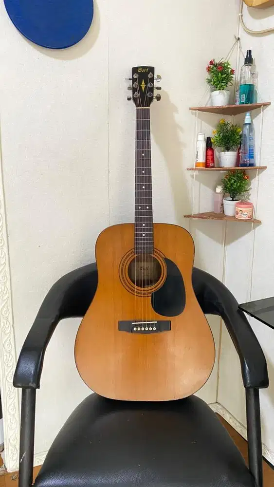 Gitar Cort AD810E NS Original