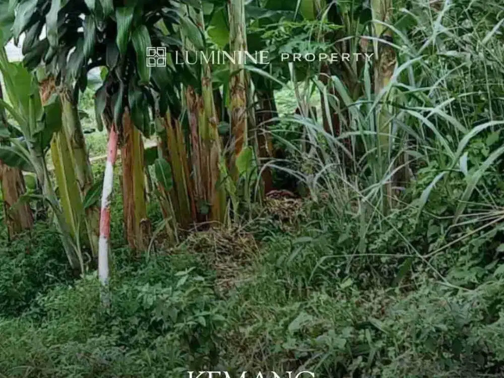 DIJUAL KAVLING DI KEMANG, BOGOR