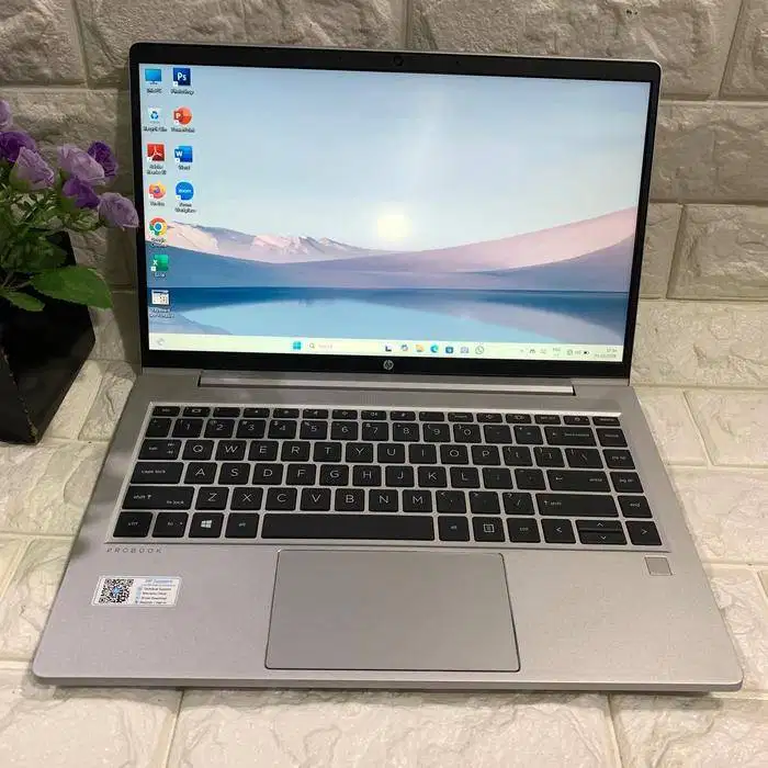 HP PROBOOK 445 G9 RYZEN 5 5625U 8/256/ LAYAR 14 INCH *RTV