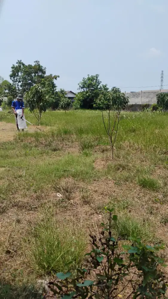Pangkas Rumput Kavling Taman Makam