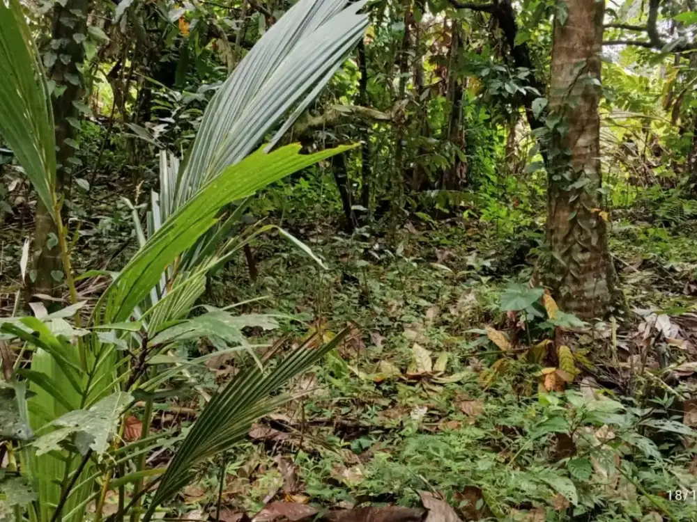 Dijual Lahan dengan View Lembah dan Bukit yang Indah