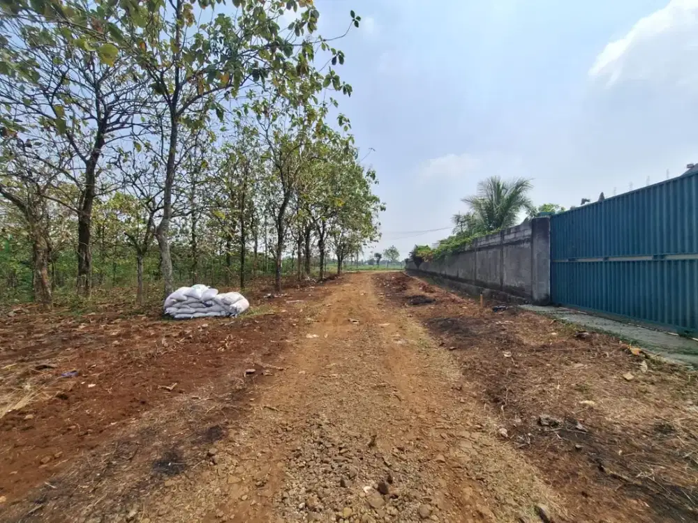 Tanah Termurah di Bomang - SHM 100Jtan - Strategis Dekat Stasiun Bojong Gede - Cocok Invest/Hunian