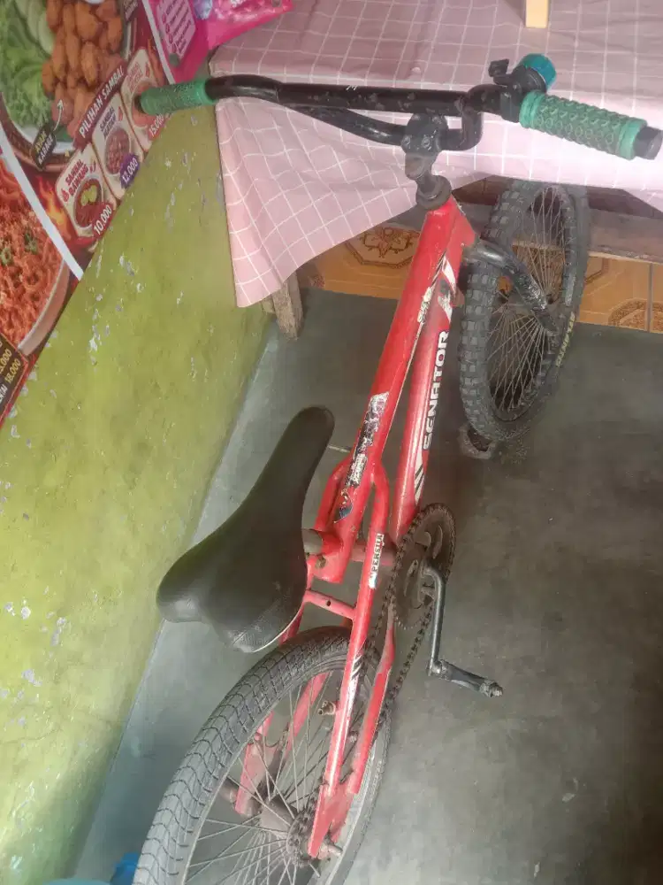 sepeda anak bekas