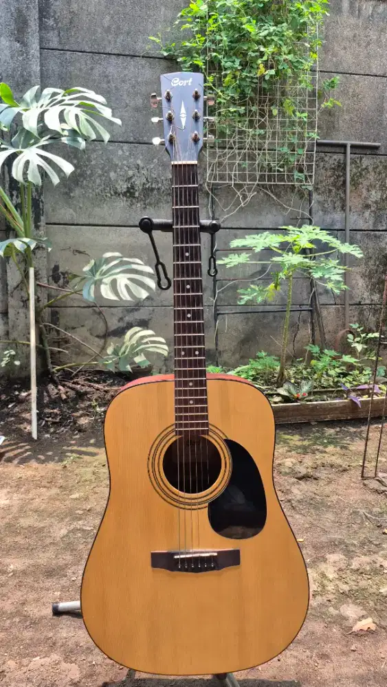 Gitar Akustik elektrik cort AD810E OP