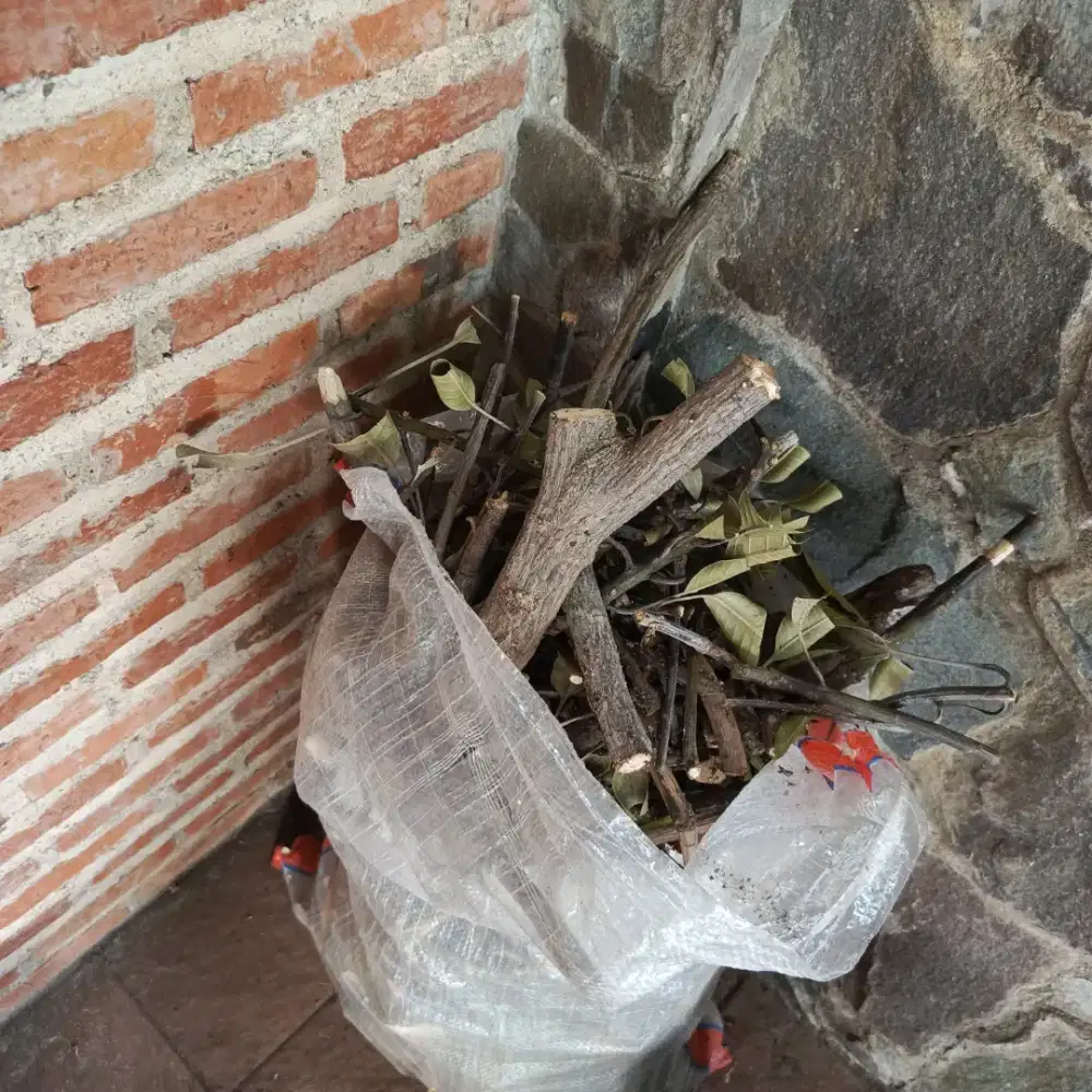 Kayu bakar 1 karung