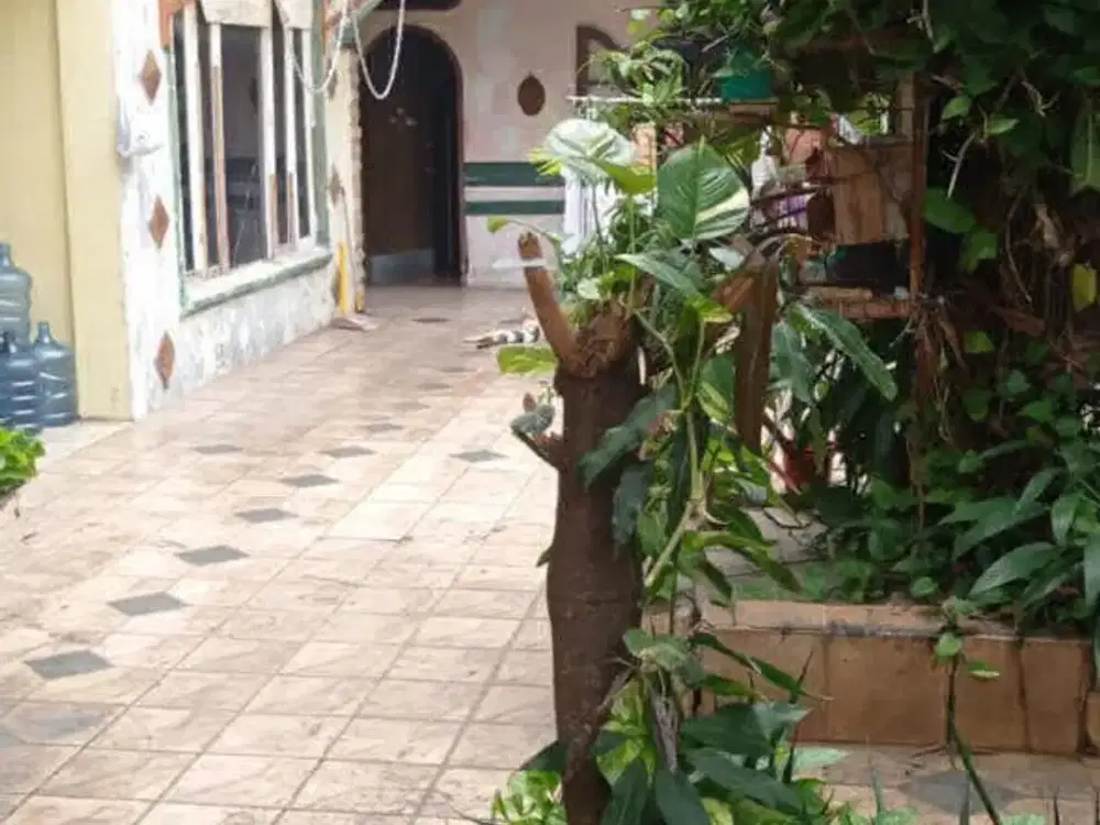 Rumah Tua Hitung Tanah Di Perikani Cipinang Pulogadung S9898