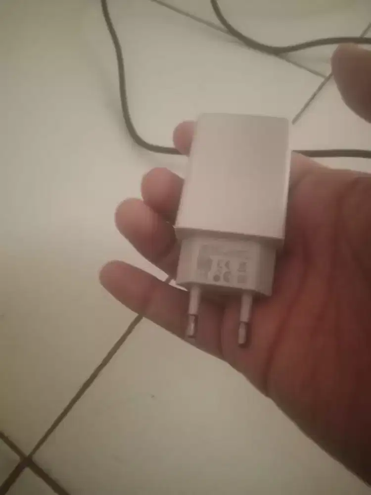Cesan pala vivo seken