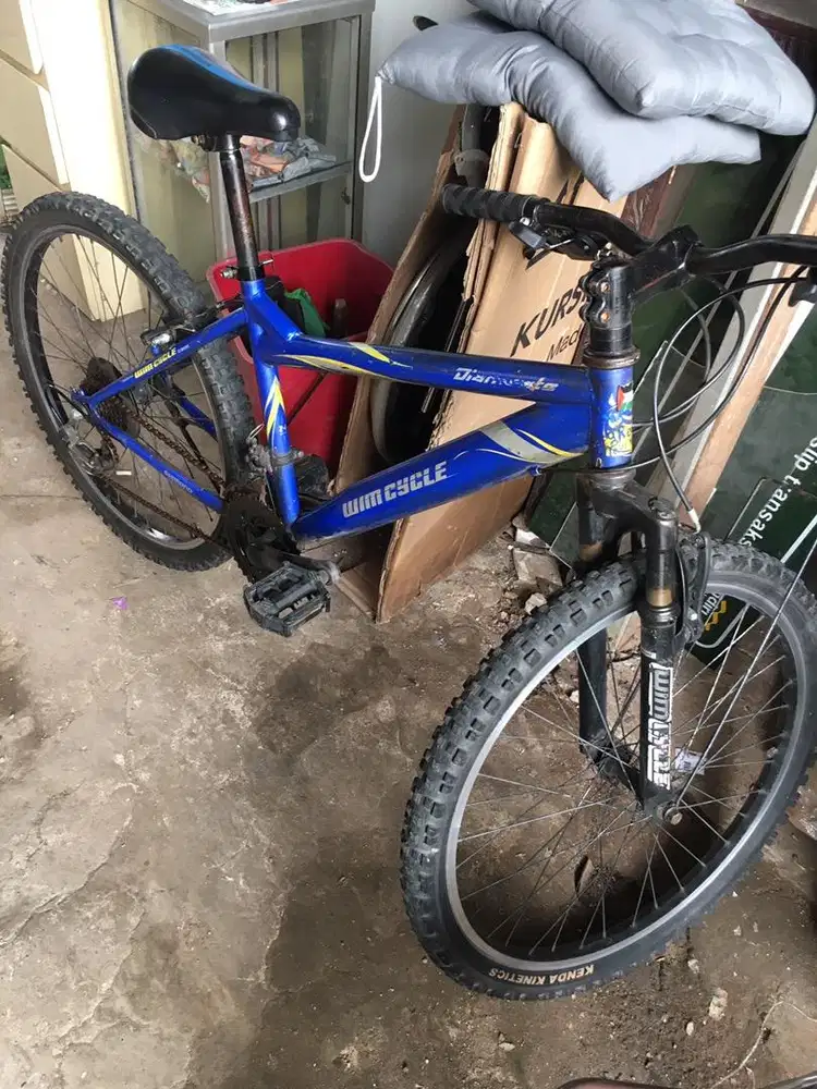 Sepeda wimcycle 24
