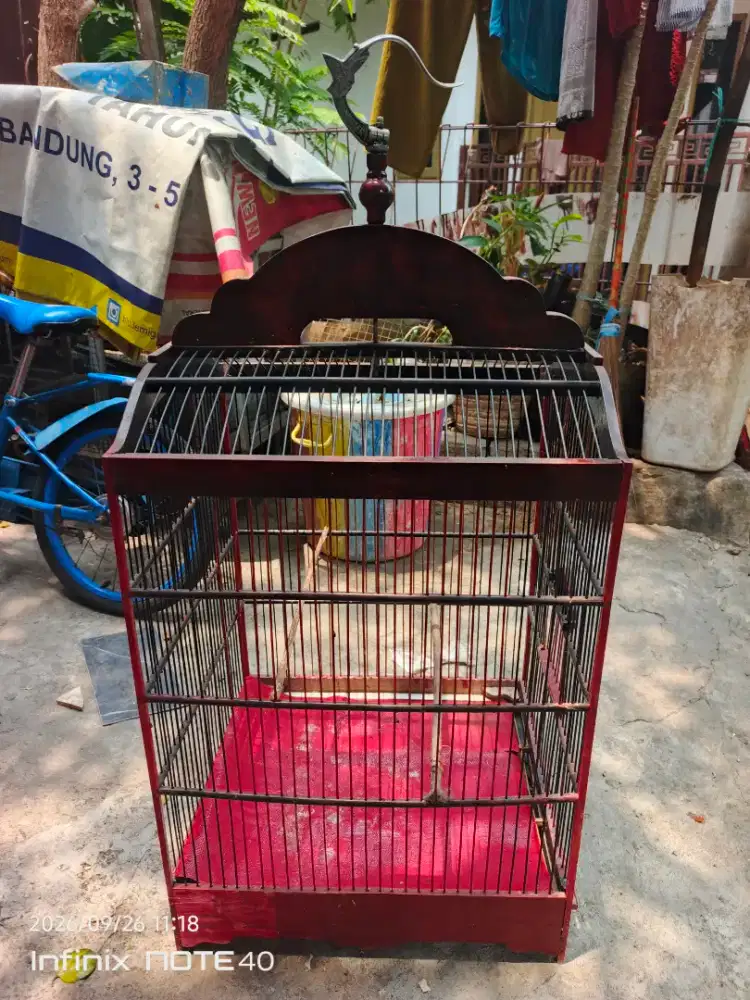 kandang atau sangkar kotak no 1