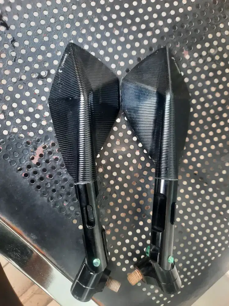 Spion rizoma tomok v2