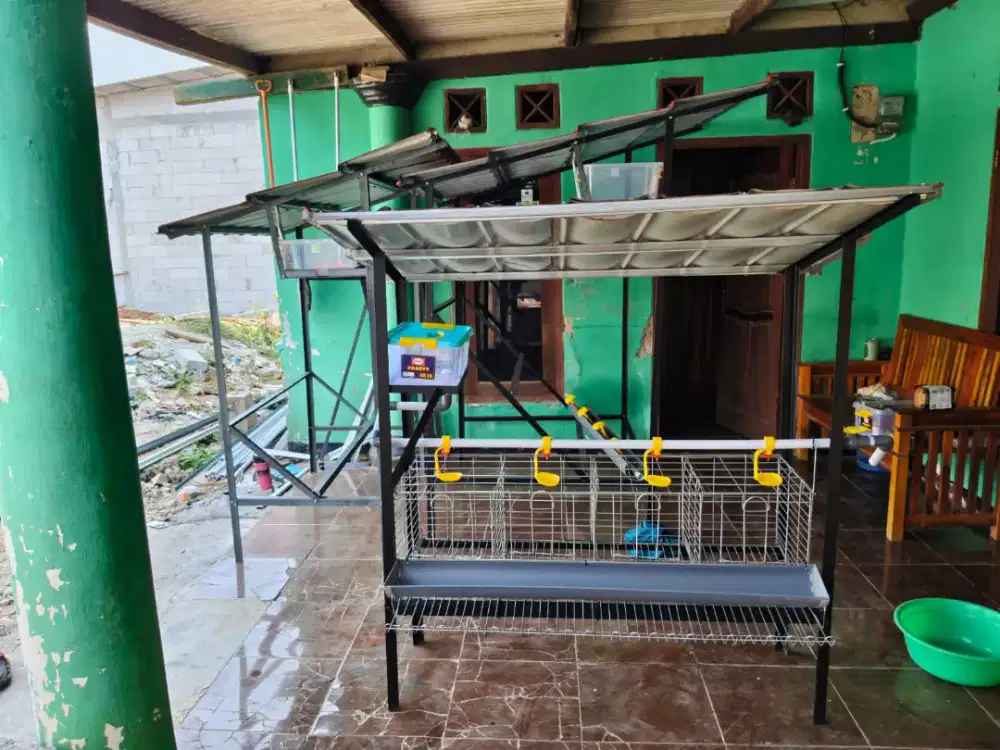 kandang ayam betelur