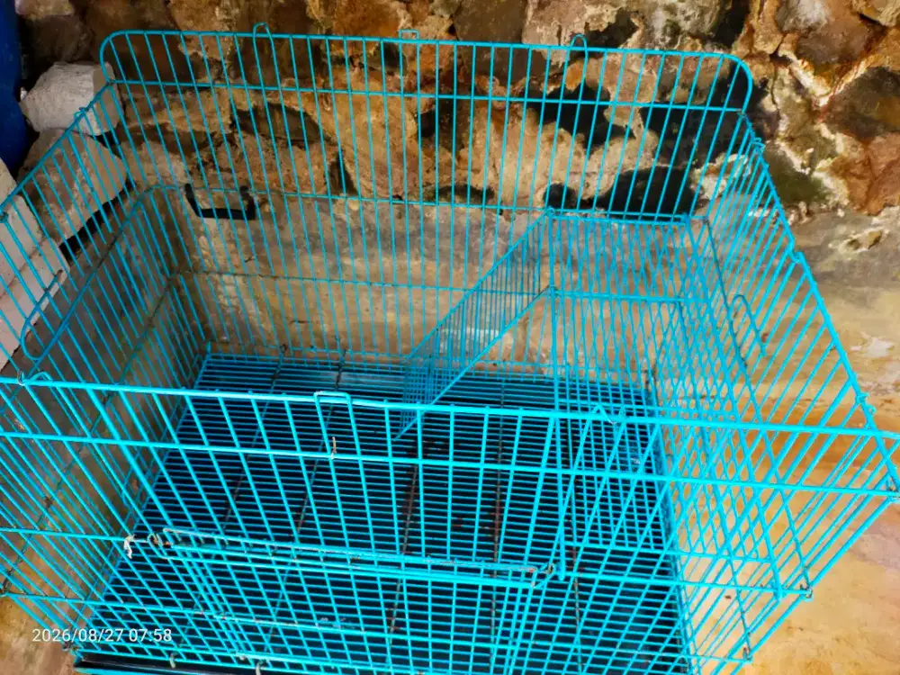 Kandang kucing, anjing jumbo tingkat