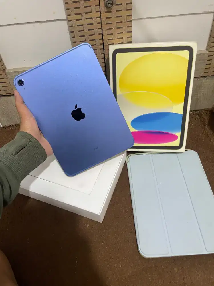 iPad Gen10 11-inch 256 wifi+cell ex inter mulus original