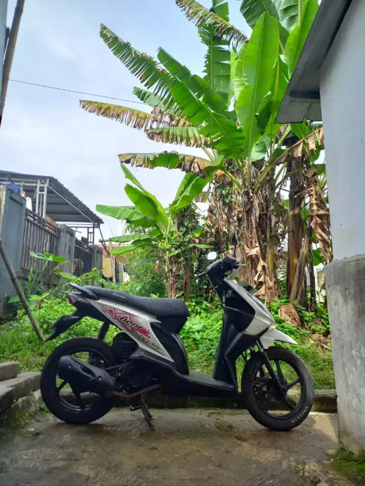 Beat karbu 2012 surat lengkap