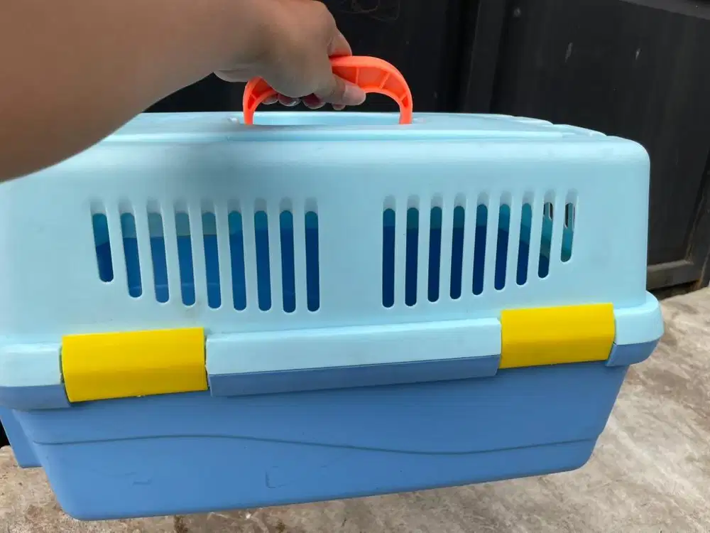 Pet Cargo Kucing