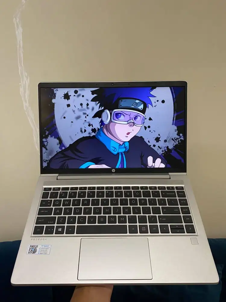 HP PROBOOK 445 G8 AMD RYZEN 5 5600U RAM 8GB SSD 256GB