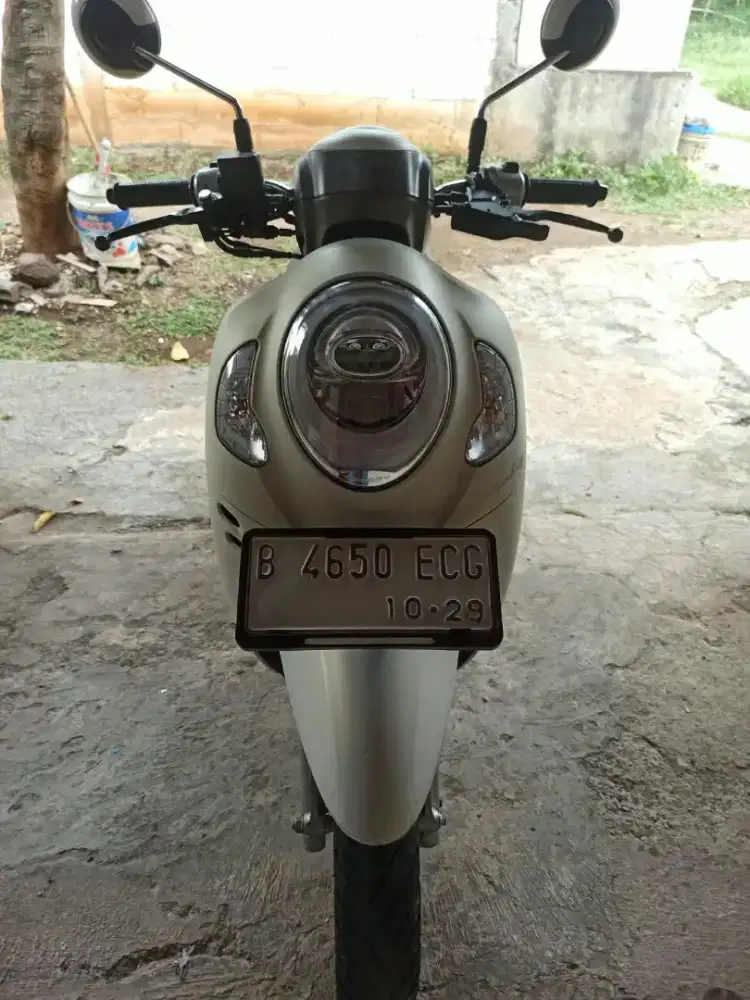 scopy prestige 2024