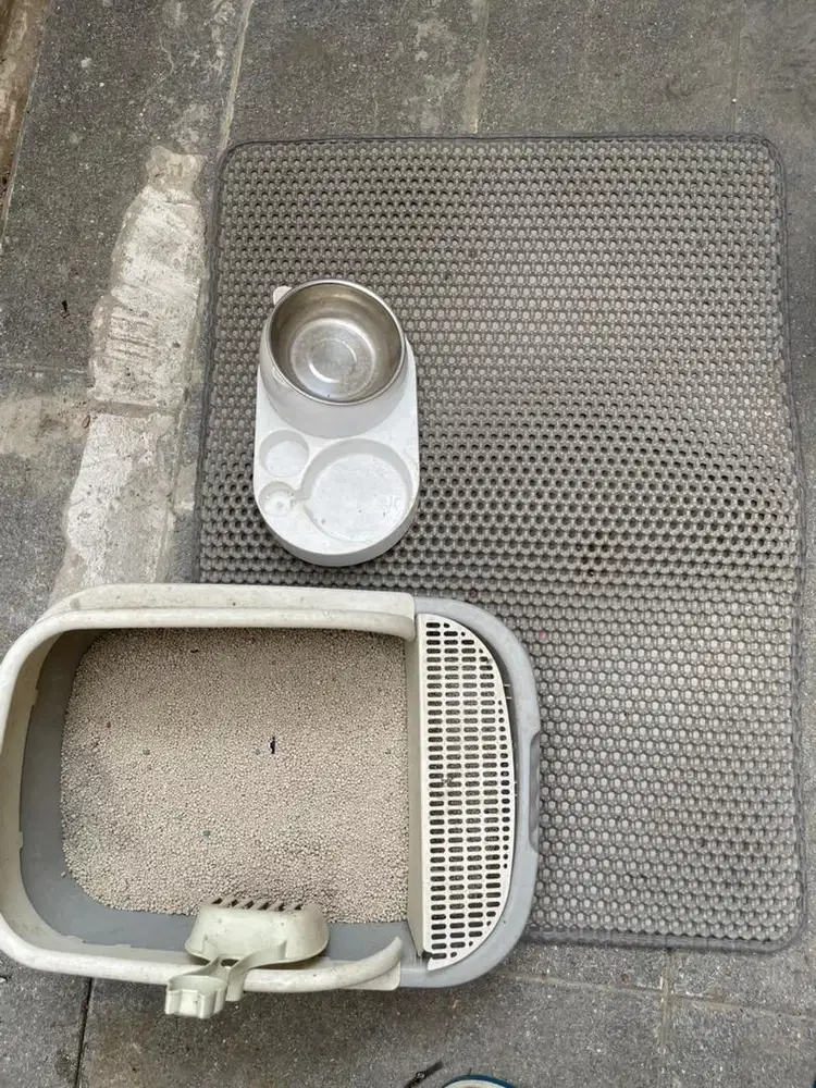 Cat litter box dan Keset Kucing