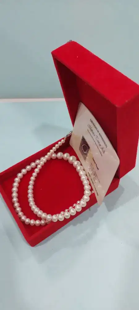 Mutiara Air Tawar Original Grade A Lombok