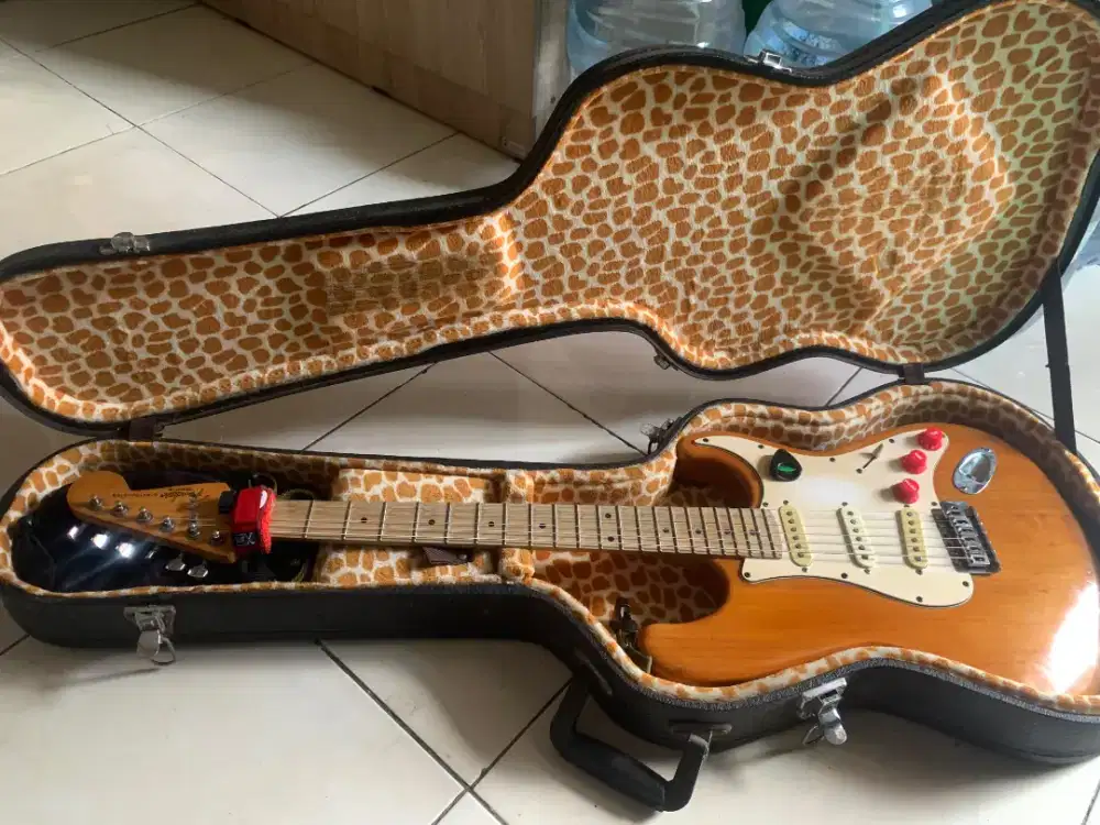 Gitar efek dan wave audio monitor