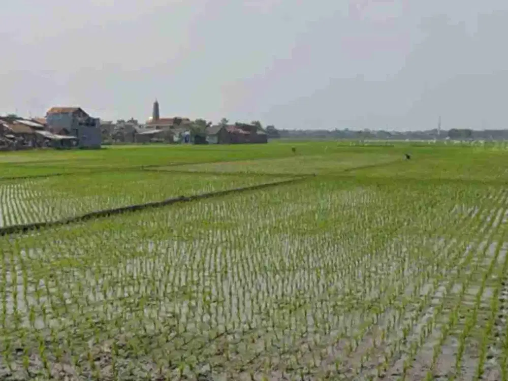 Lahan strategis di kawasan GBLA bandung