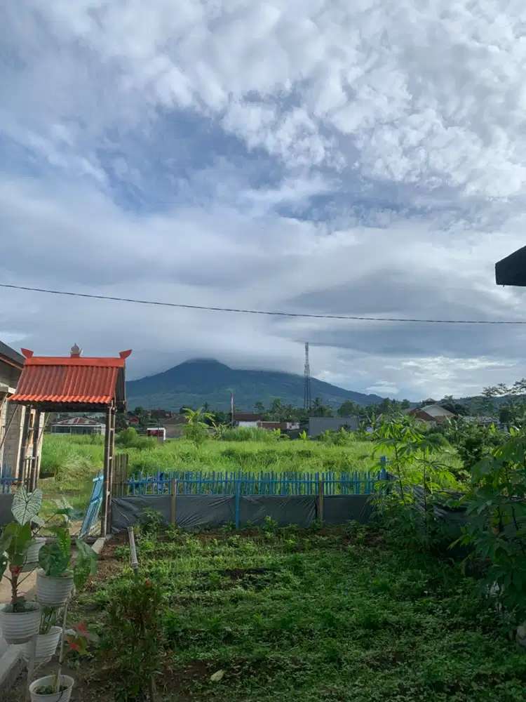 Tanah pekarangan STRATEGIS 170m dengan harga murah
