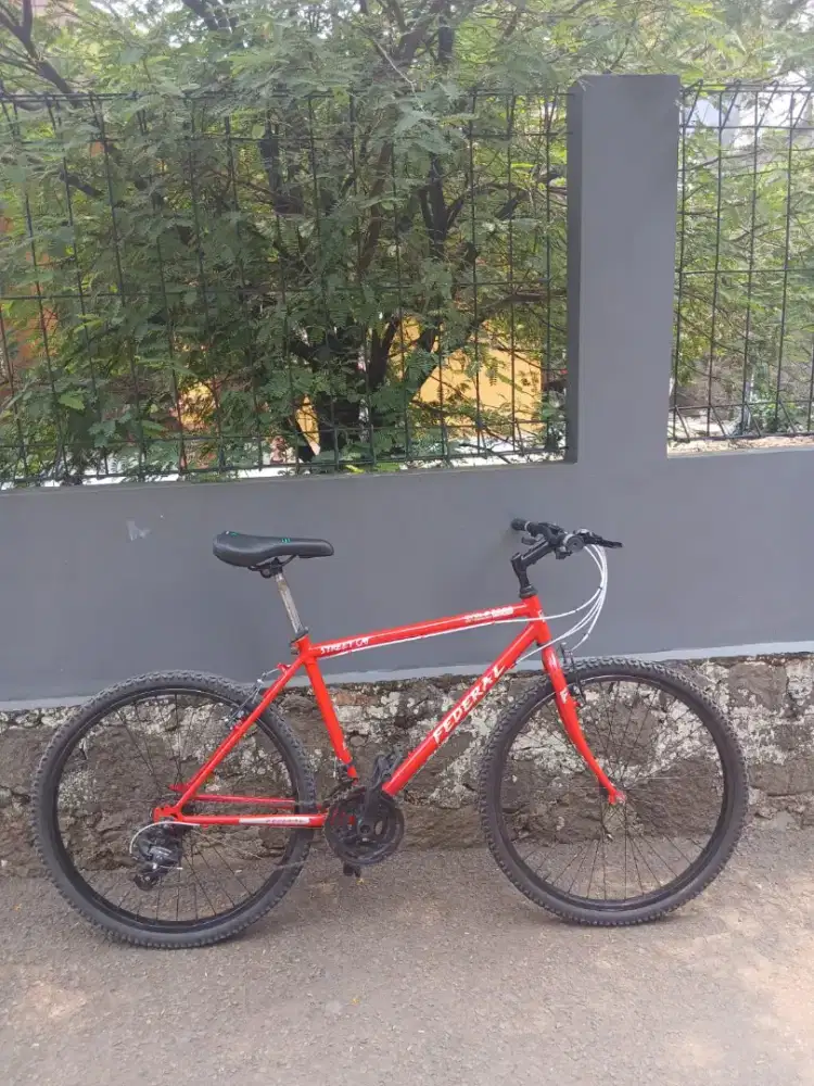Dijual sepeda federal non fc