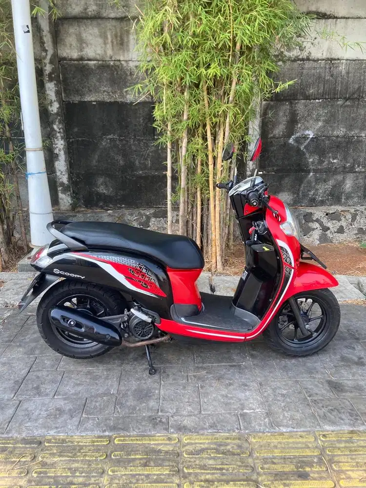 Forsale Scopy 2019
