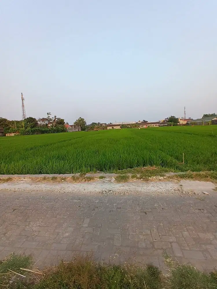 JUAL TANAH SAWAH STRATEGIS DI PUSAT PEREKONOMIAN GAMPING