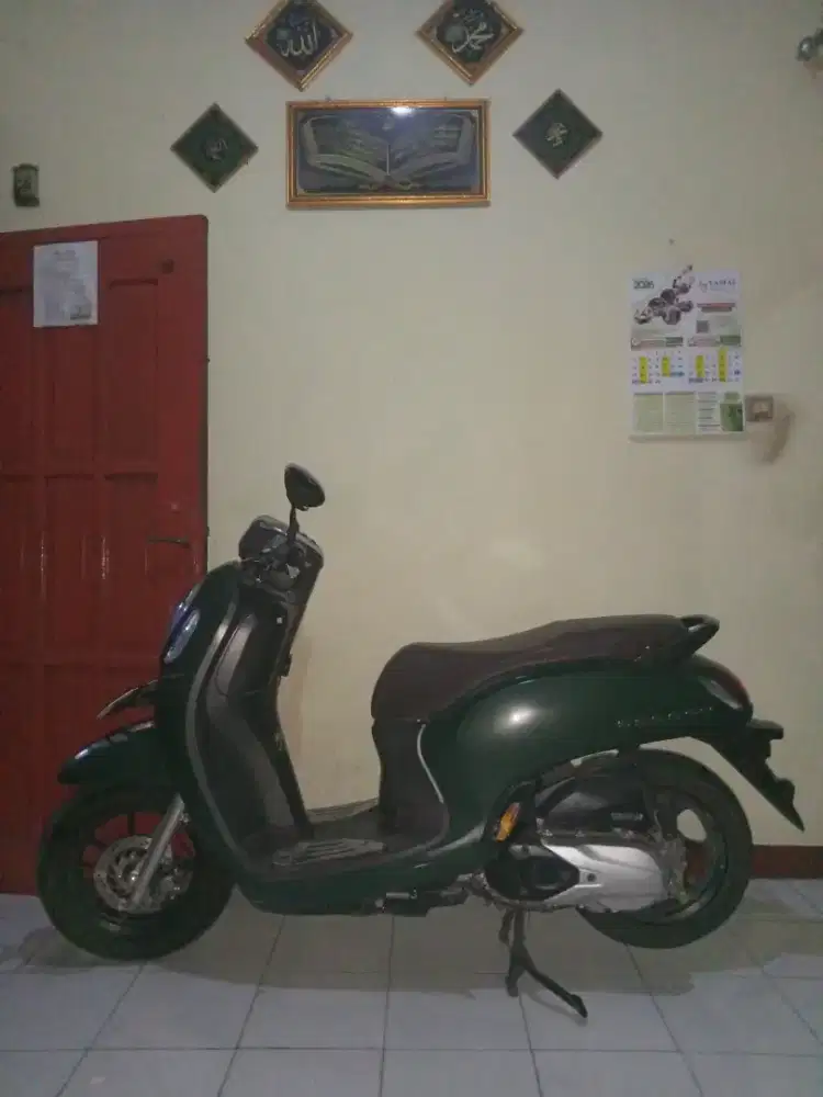 Scoopy stylish KYLES 2022