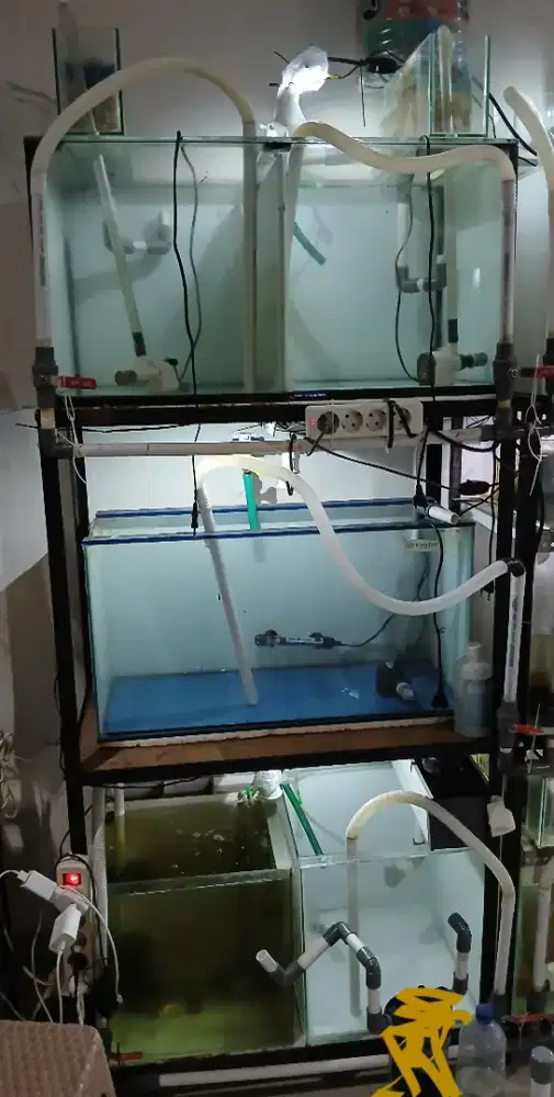 Di jual aquarium