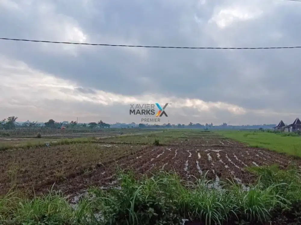 Dijual Tanah Lahan di Sekarpuro, Pakis Malang