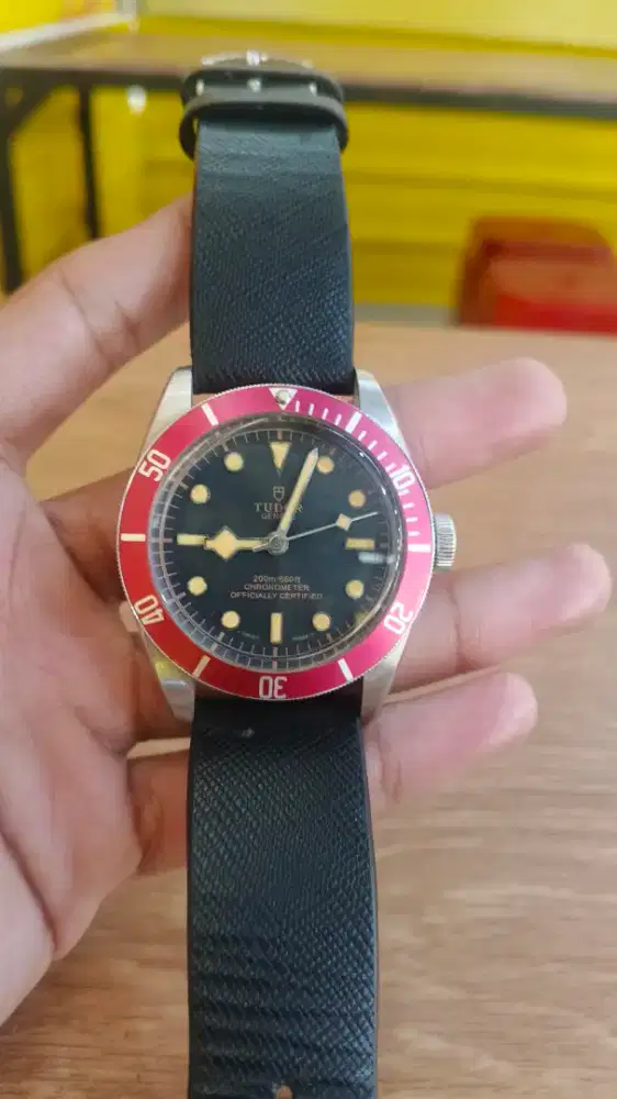 TUDOR black bay