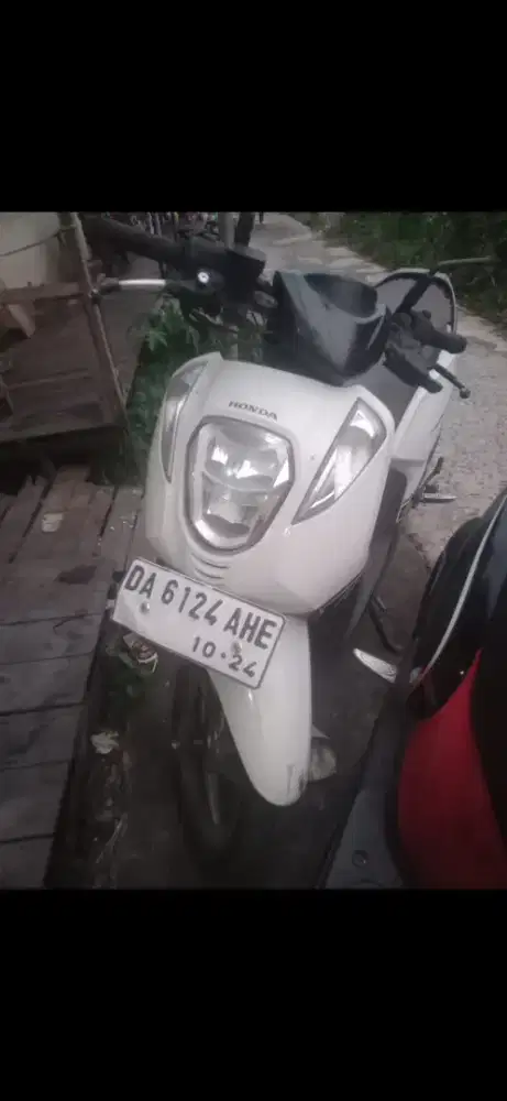honda genio 2019