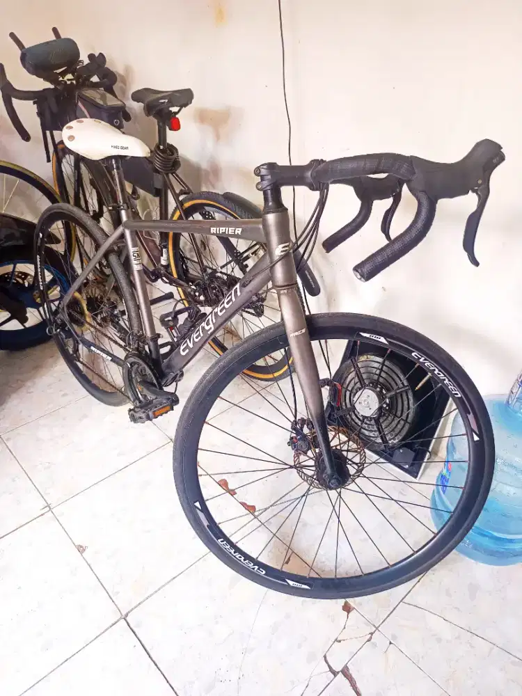 Roadbike Evergreen Ripier