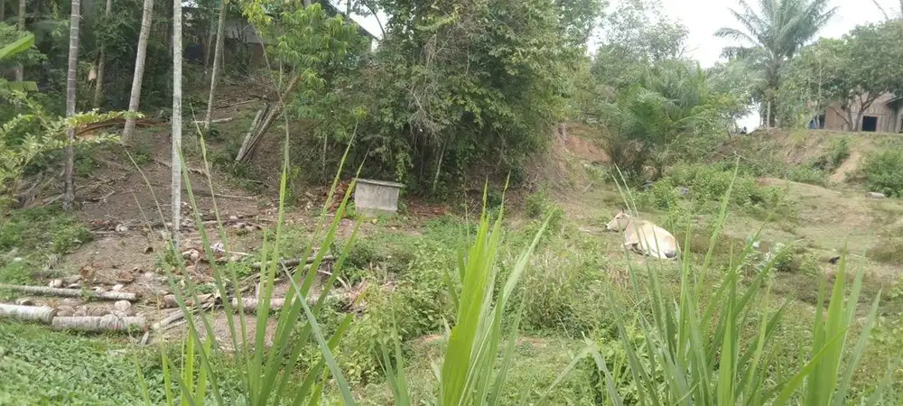 Dijual Tanah Murah Aceh Utara