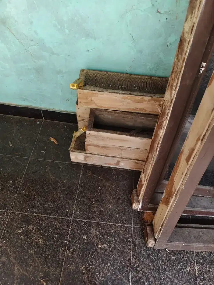 Jual aja semua 1.1 nego